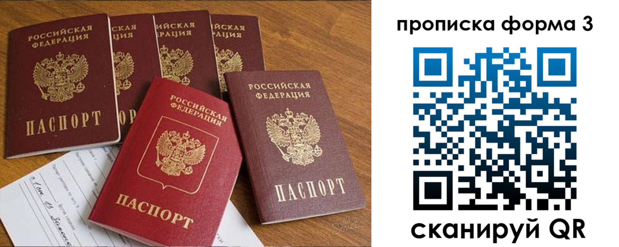прописка 2025 в Высоковске